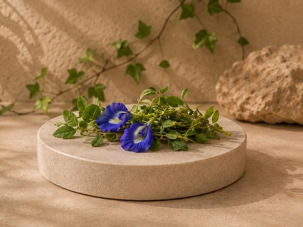 Neuroprotective role of Convolvulus pluricaulis on aluminium induced neurotoxicity in rat brain