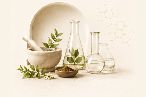 Brahmi to the Brain: Ancient Herb, Modern Neuroprotective Power