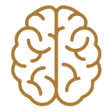 Human 
Consciousness