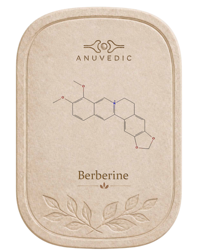 Berberine / Alkaloids