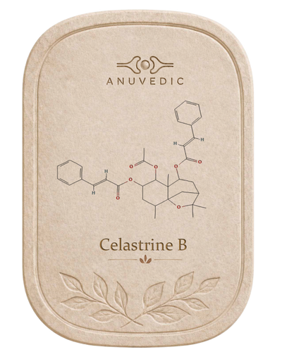 Celastrine / Celastrus alkaloids