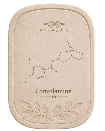 Convolamine / Convolidine
