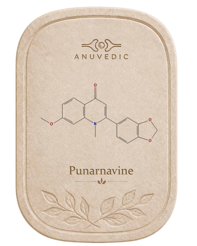 Punarnavine