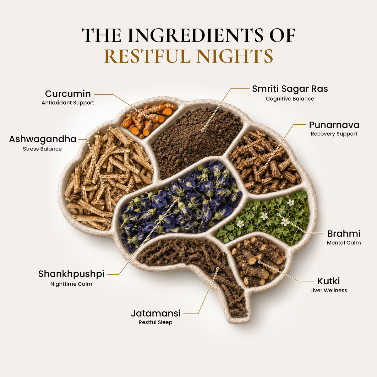 Science-backed Ayurvedic sleep support ingredients including Curcumin, Ashwagandha, Shankhpushpi, Jatamansi, Smriti Sagar Ras, Punarnava, Brahmi, and Kutki for nighttime calm and cognitive balance